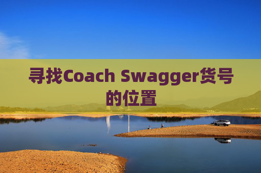 寻找Coach Swagger货号的位置